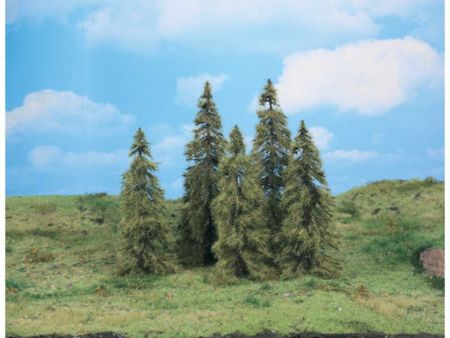 Heki  5 Lärchen 14-18 cm