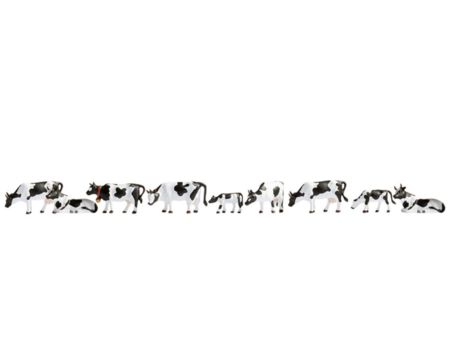 NOCH N Kühe, schwarz-weiß