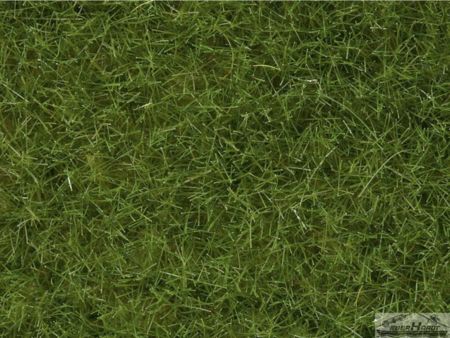 NOCH Wildgras, hellgrün, 6 mm