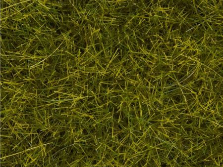 Noch  Wildgras XL Wiese, 12 mm