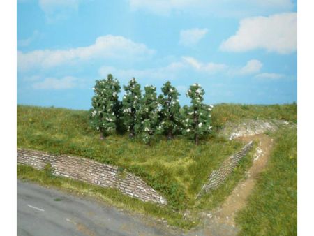 Heki  6 Birnbäume blühend 6 cm