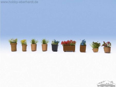 Noch  N Blumen in kl.Blumentöpfen