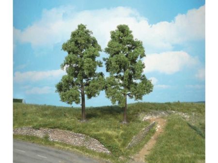 Heki  2 Buchen 18 cm