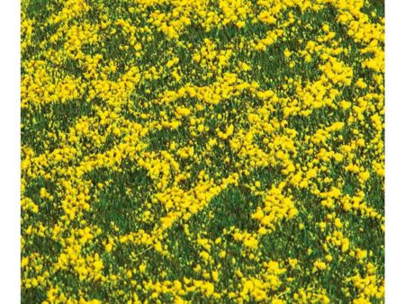 FallerPREMIUM Landschafts-Segment, Rapsfeld