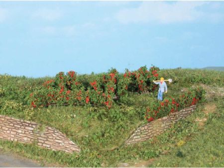 Heki  10 Rosenhecken und Büsche 0,7 - 3 cm