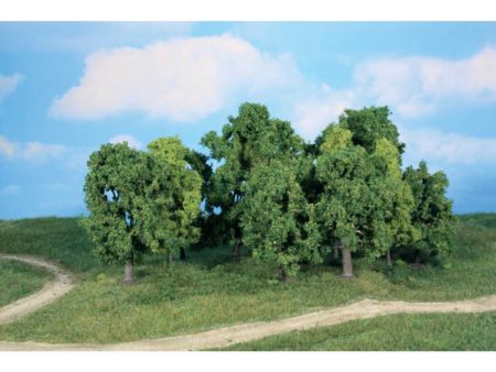 Heki  12 Laubbäume 8-13 cm