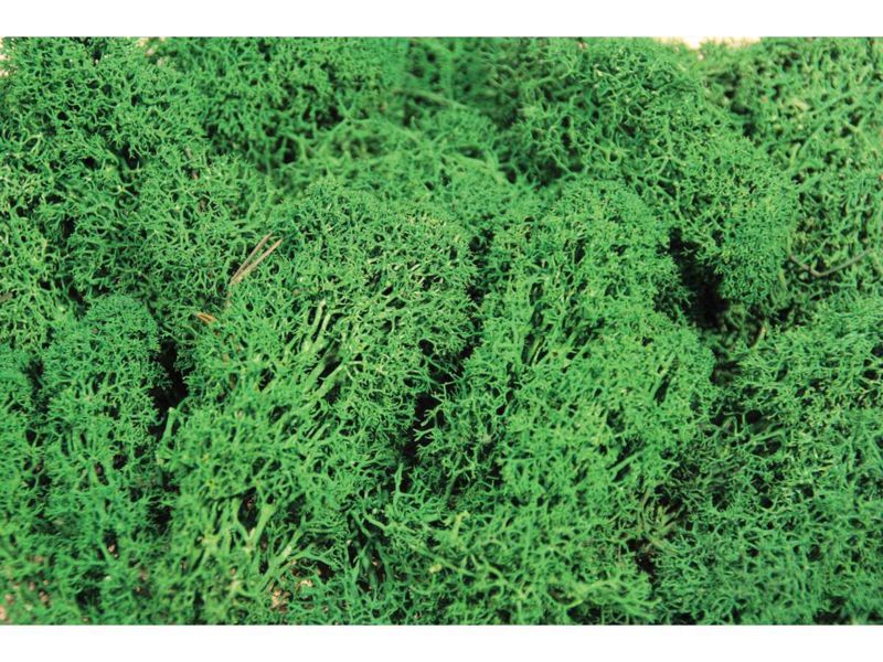 Heki  Islandmoos dunkelgrün 75 g