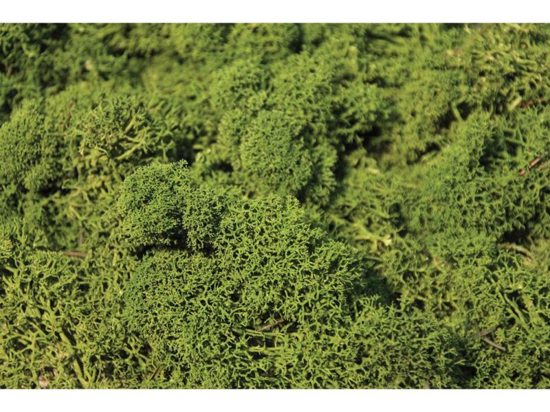 Heki  Islandmoos mittelgrün 75 g