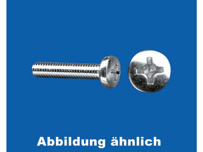 Krick Zylinderschrauben M4x10(10Stk)