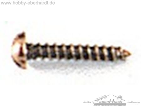 Fleischmann HOLZ SCHRAUBEN  GROS          