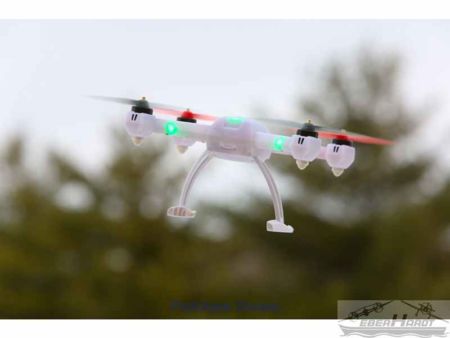 Blade 200 QX BL