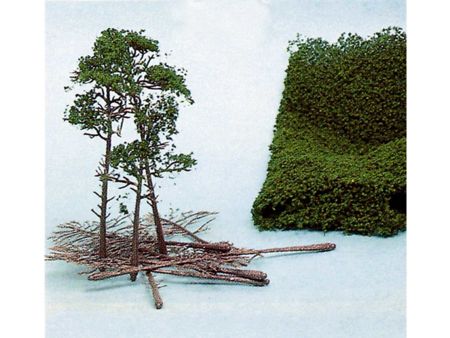 Heki  10 Kiefern  10-16 cm + HEKI flor