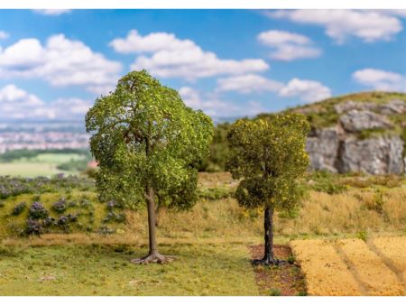 Faller  Linde und Elsbeere