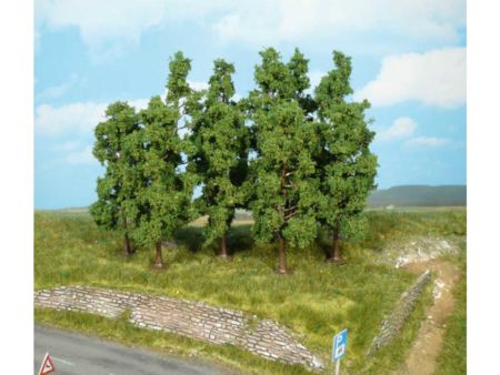 Heki  10 Buchen 11-13 cm