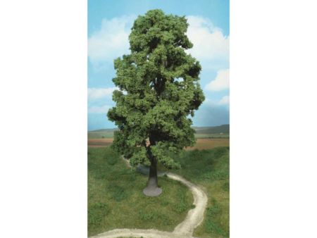 Heki  1 Bergahorn 35 cm