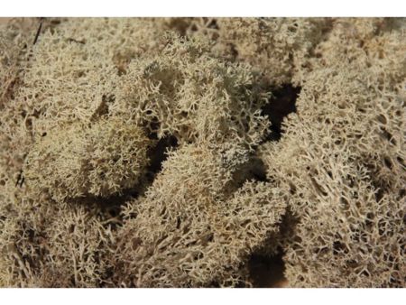 Heki  Islandmoos grau 250 g