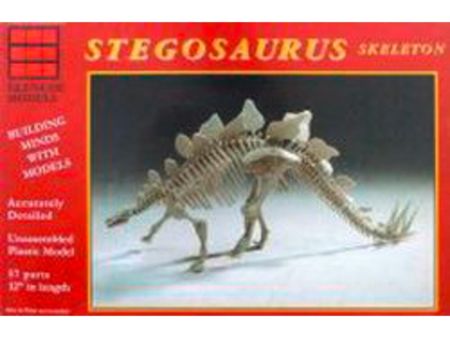 GLENCOE 1/25 Stegosaurus Skelett