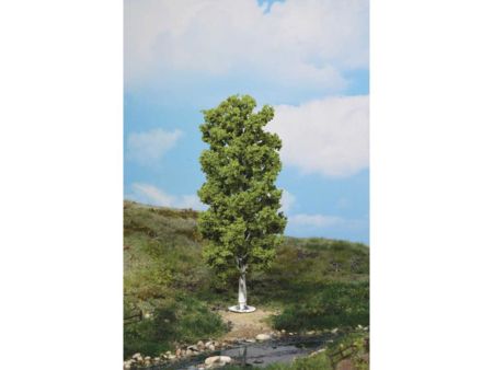 Heki  1 Birke 20 cm