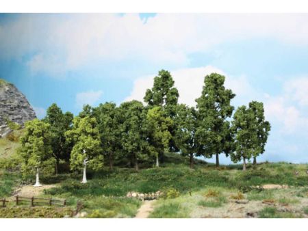 Heki  15 Laubbäume 10-18 cm