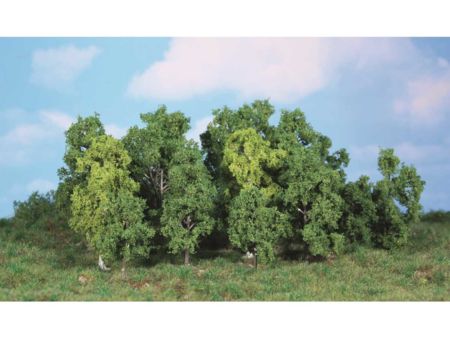 Heki  14 Laubbäume 5-12 cm