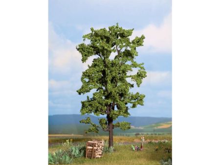 NOCH 0/N Linde, 18,5 cm hoch