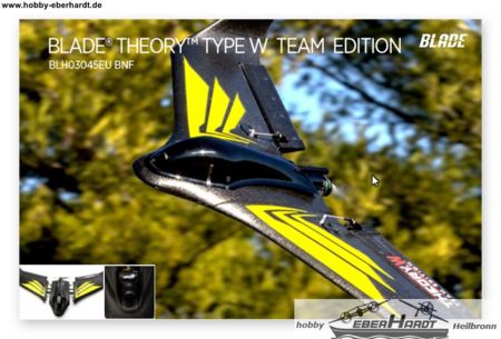 Theory W Team Edition