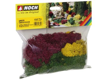 Noch  Dekormoos, herbstl.,sortiert