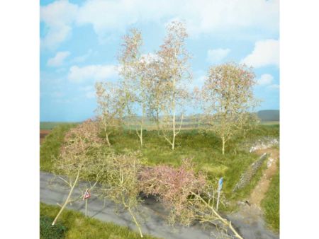 Heki  35 Bäume, Seemoos natur