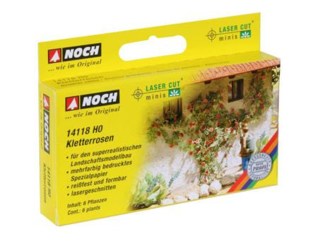 Noch  H0 L-C Kletterrosen