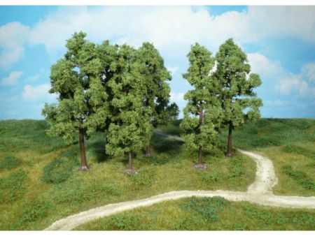 Heki  6 Buchen 18 cm