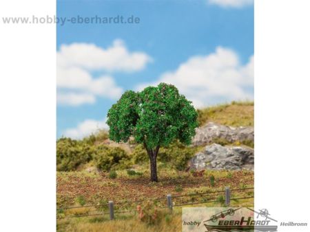 Faller    1 Kirschbaum