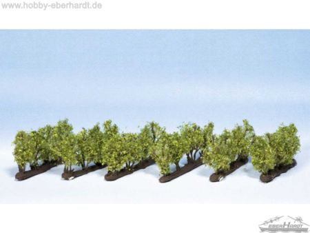 NOCH N/Z Weinreben, ca.1,6 cm hoch