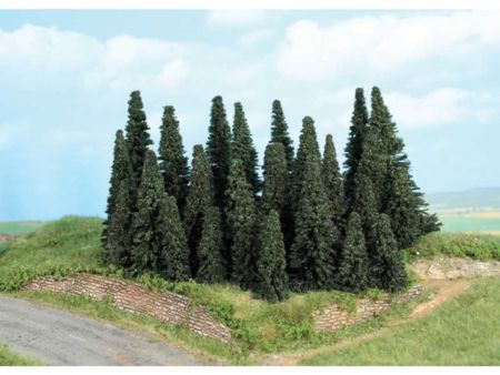 Heki  Tannenwald, 24 Tannen 5-11 cm