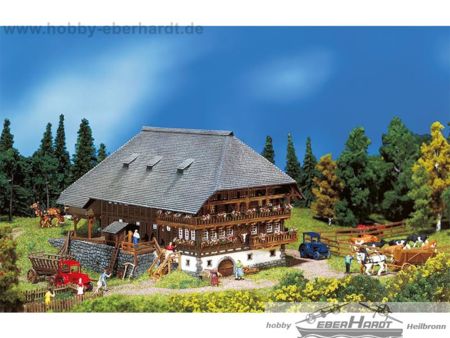 Faller N Schwarzwaldhof