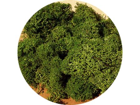 Heki  Islandmoos mittelgrün 75 g