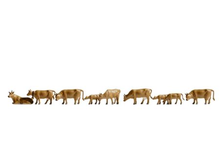 NOCH N Kühe, dunkelbraun