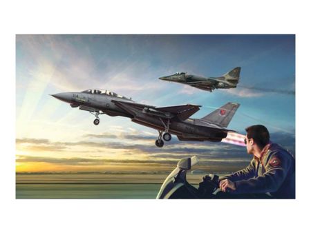 Italieri 1:72 US NF F-14A vs A-4F