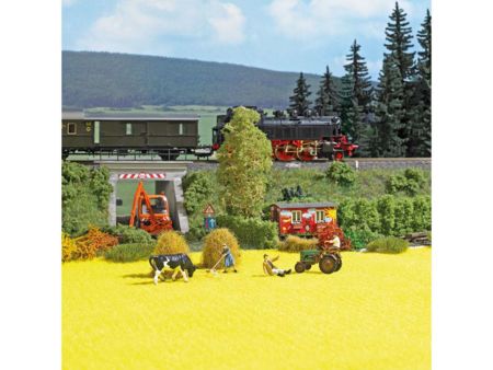 Busch Rapsfeld
