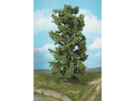 Heki  1 Felsenahorn 30 cm