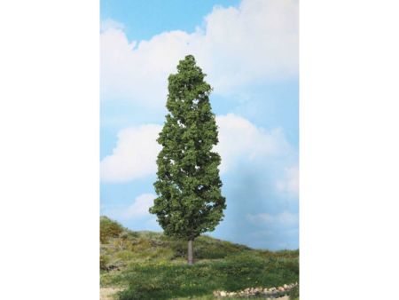 Heki  1 Buche 27 cm