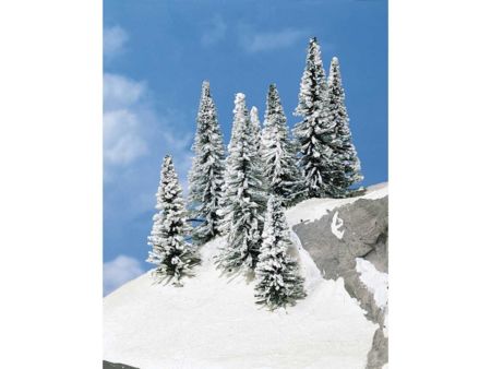 Heki  8 Schneetannen 5-7 cm