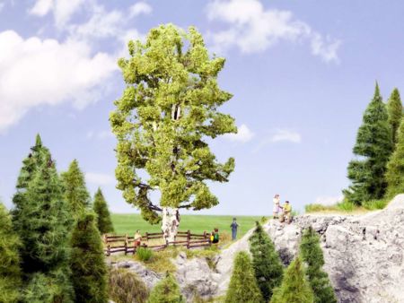 NOCH 0/H0 Doppelst. Birke 19cm