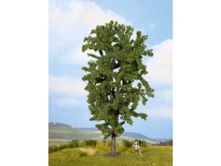 NOCH 0/N Rosskastanie