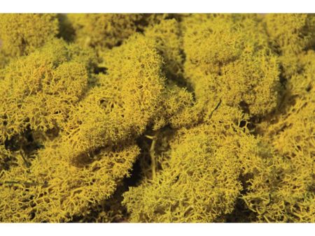 Heki  Islandmoos gelb 30 g