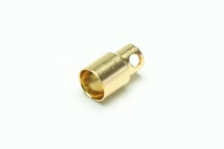 Extron Goldbuchse 8.0mm (VE=10 St.)