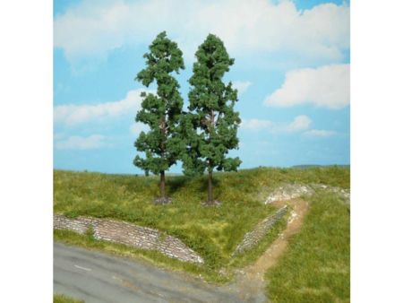 Heki  2 Buchen 18 cm