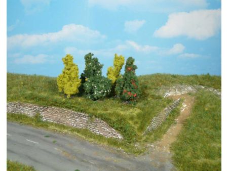 Heki  5 Sträucher 6 cm