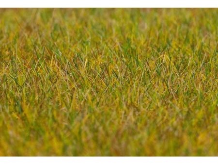 FallerPREMIUM Streufasern Wiese, hellgrün, 6 mm, 30 g