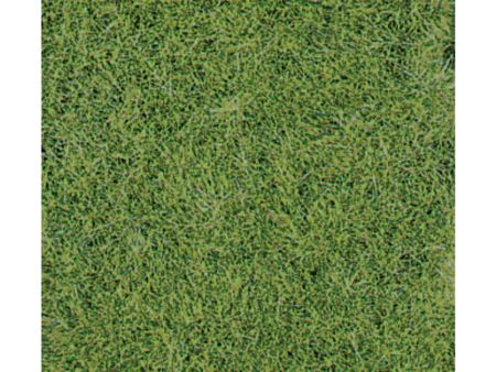 Heki  Wildgrasmatte wiesengrün, 40x24 cm, 2 Stück