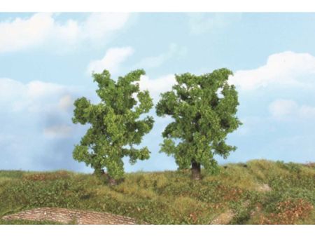 Heki  2 Birnbäume 14 cm